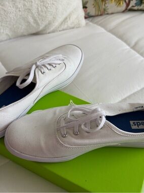 Keds White and Blue Sneaker (Interior View)